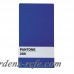 Seletti Pantone® 286 Wallstore with 6 Mini Magnets AELE1067